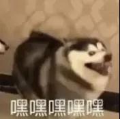 雙節同慶丨福利真是太太太太感人了！