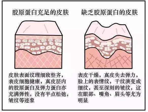 一篇大實話丨讀懂年輕五歲，速來圍觀